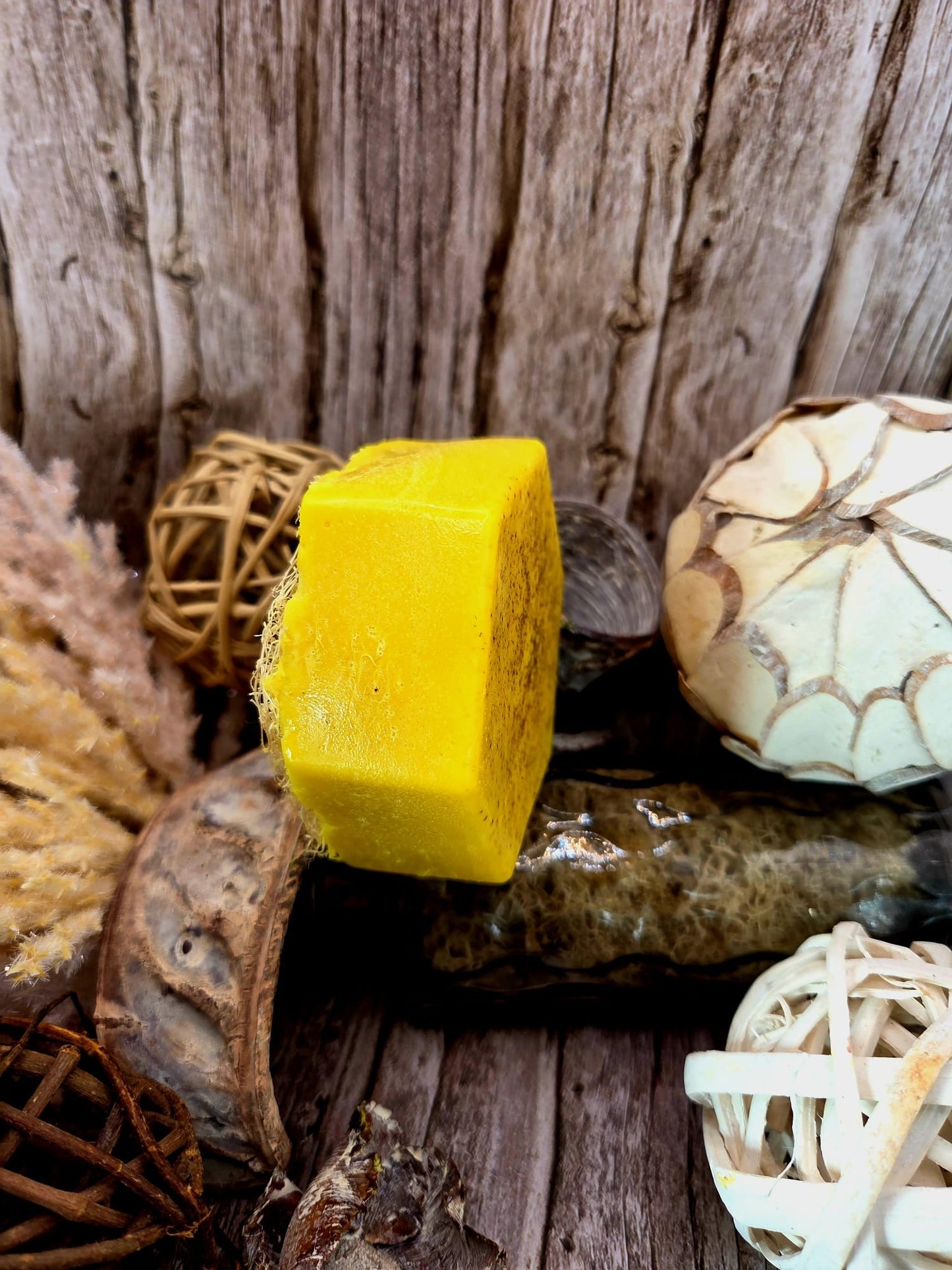 SAVON LUFA ANTI-TACHE