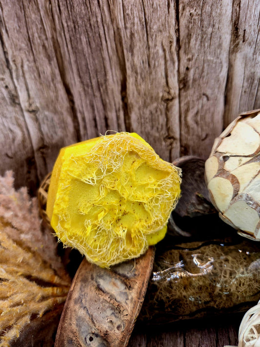 SAVON LUFA ANTI-TACHE